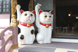 今戸神社招き猫２